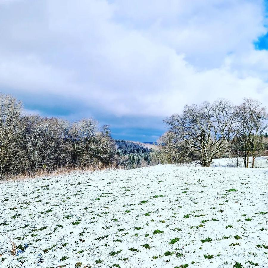 Calme et chaleureux gîte de campagne. Voiteur Extérieur photo